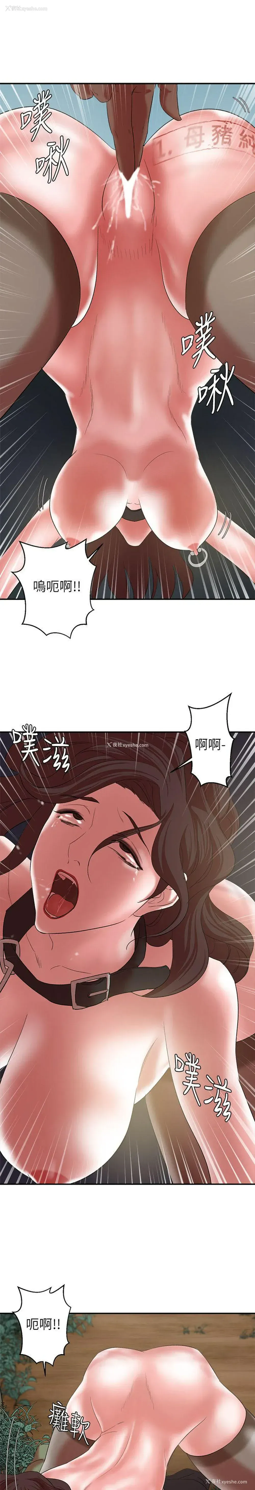1P - 母猪养成计画