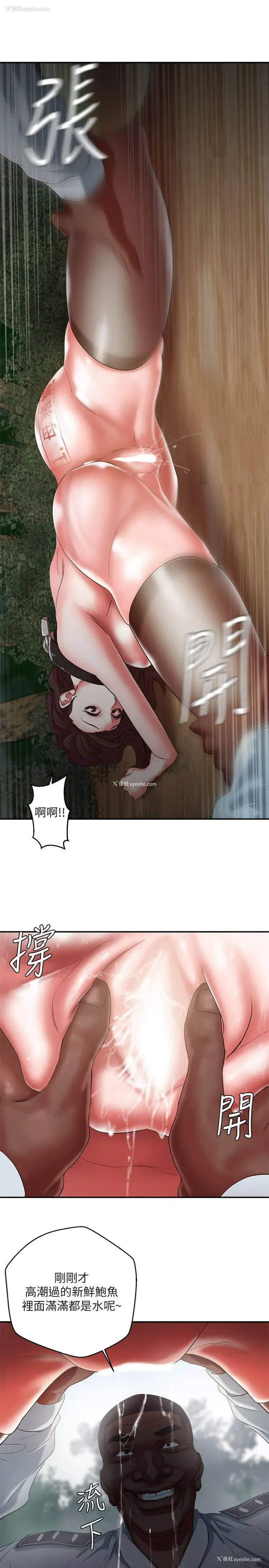 13P - 母猪养成计画