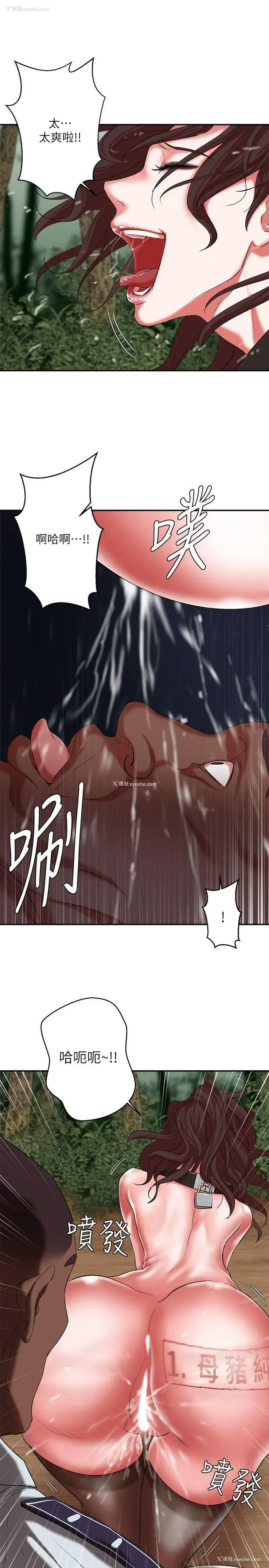 20P - 母猪养成计画