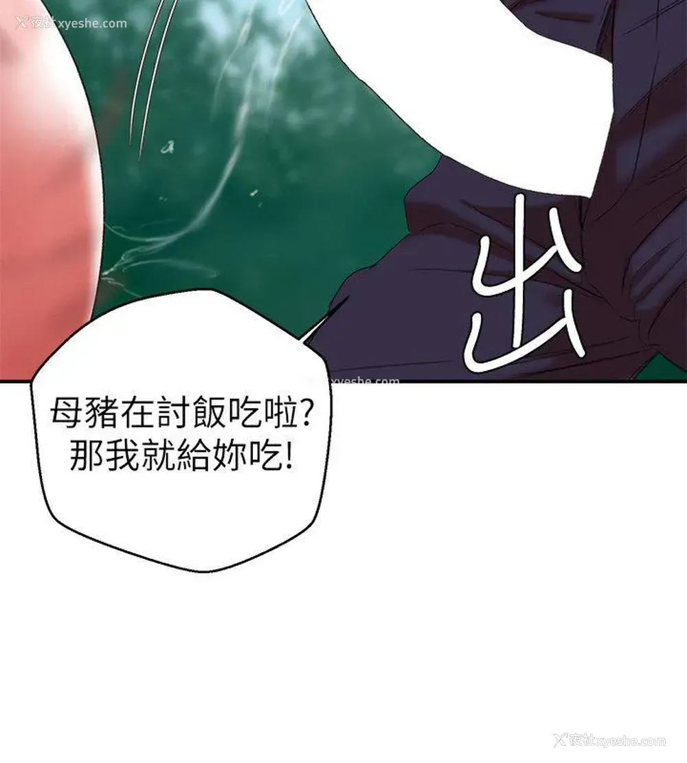 33P - 母猪养成计画