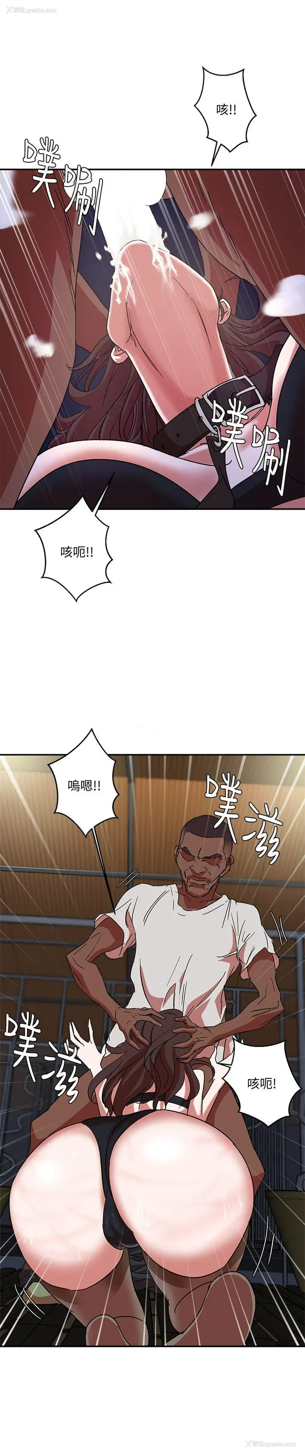 23P - 母猪养成计画