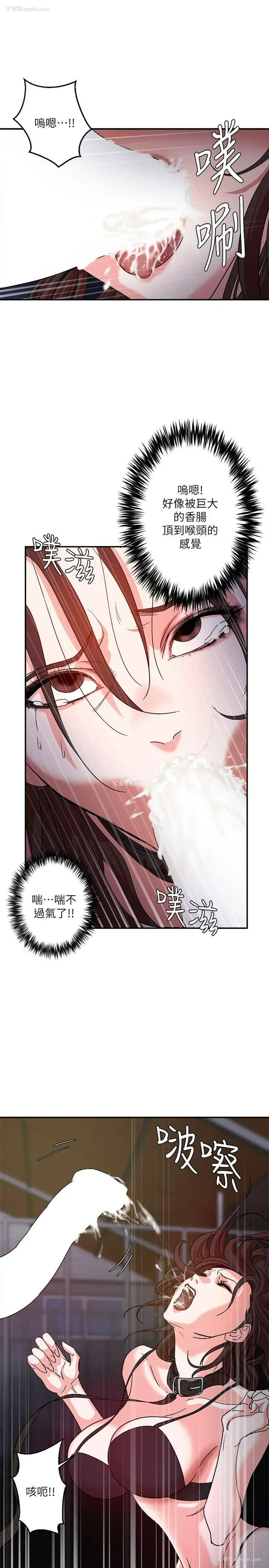 24P - 母猪养成计画