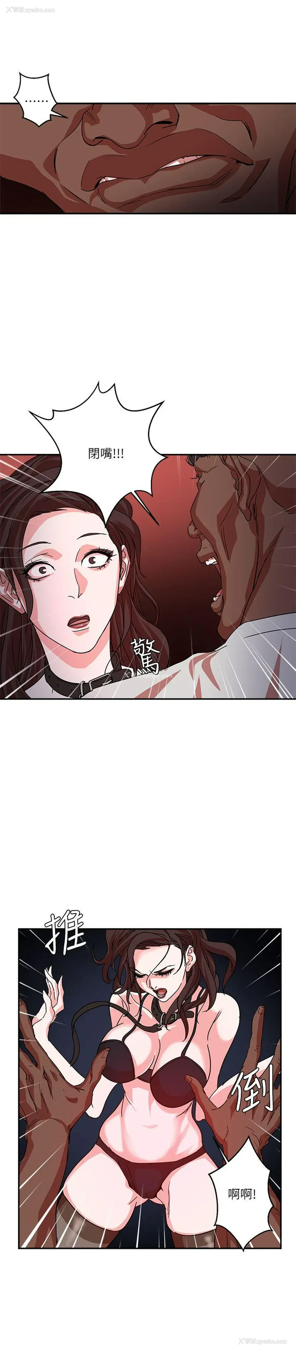 29P - 母猪养成计画