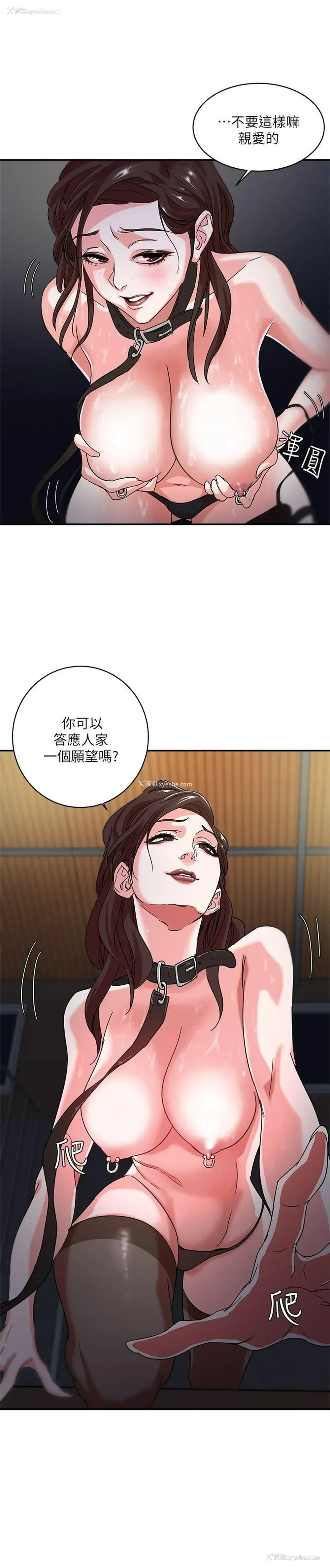 31P - 母猪养成计画
