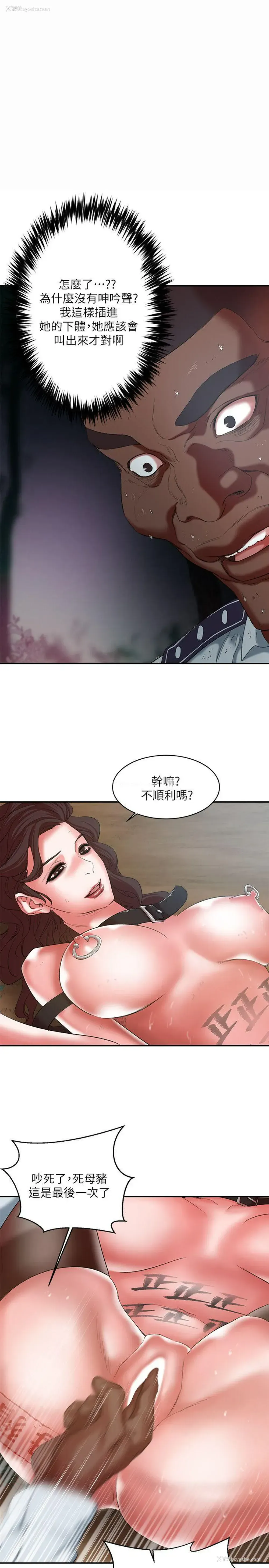 1P - 母猪养成计画
