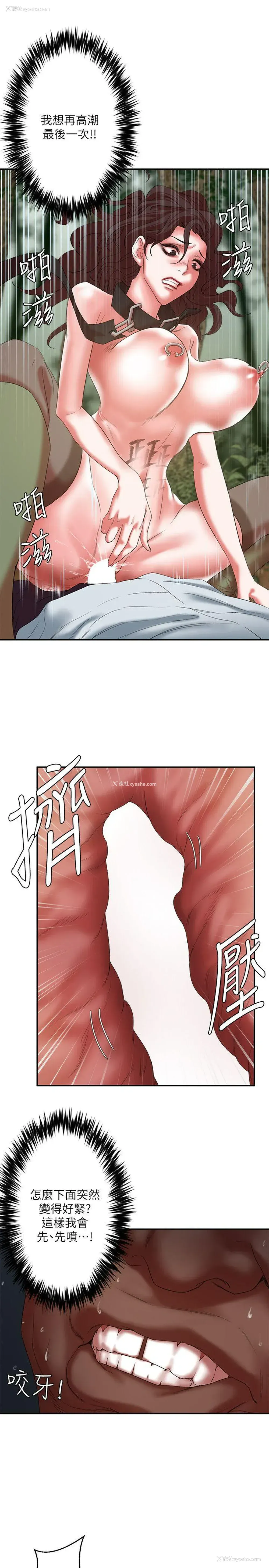 31P - 母猪养成计画