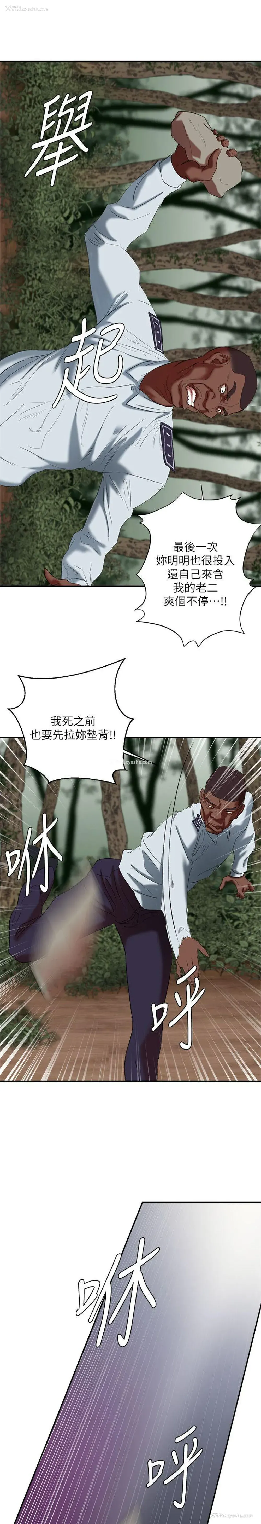 12P - 母猪养成计画