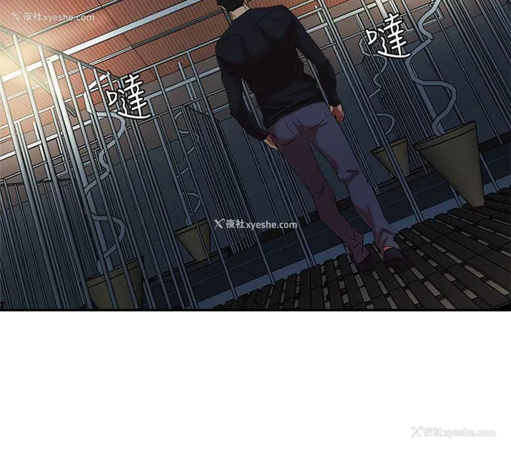 15P - 母猪养成计画