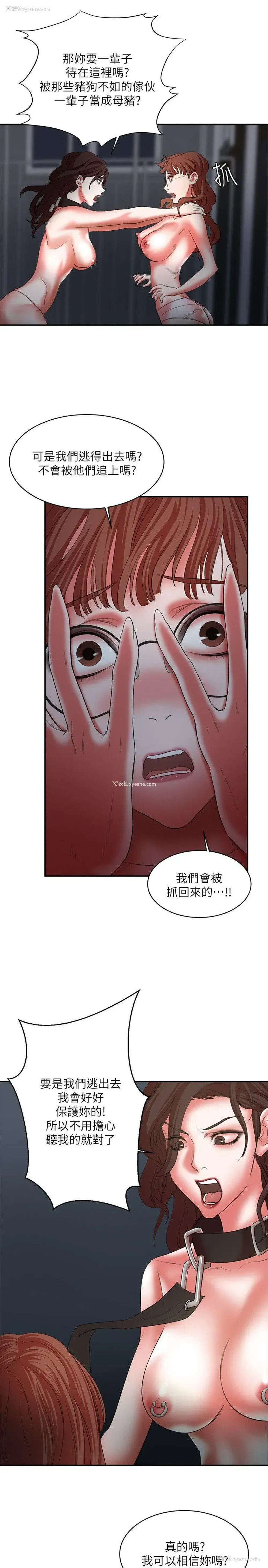 23P - 母猪养成计画