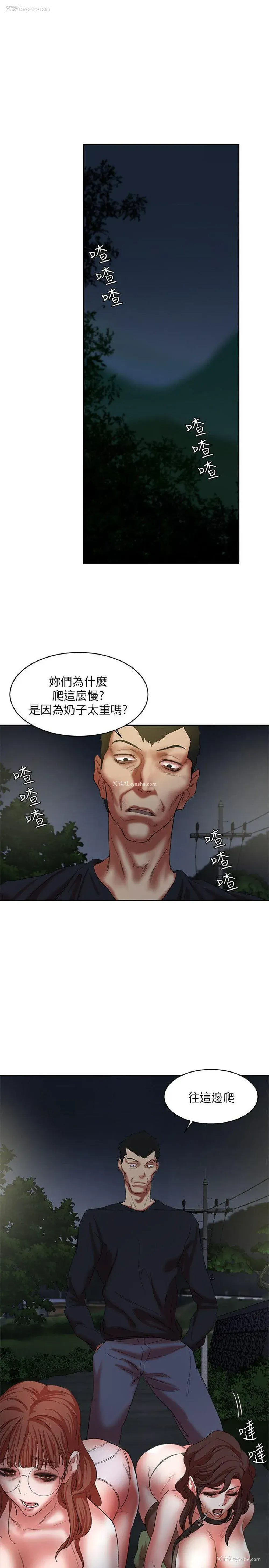 5P - 母猪养成计画