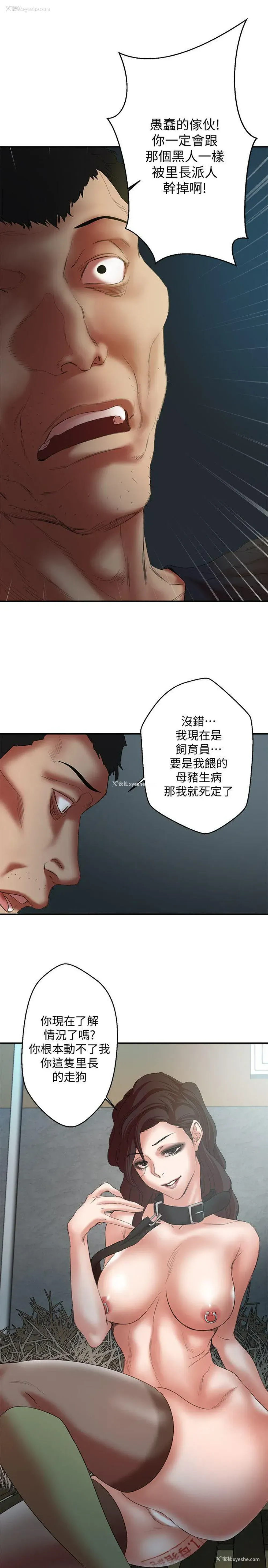 11P - 母猪养成计画