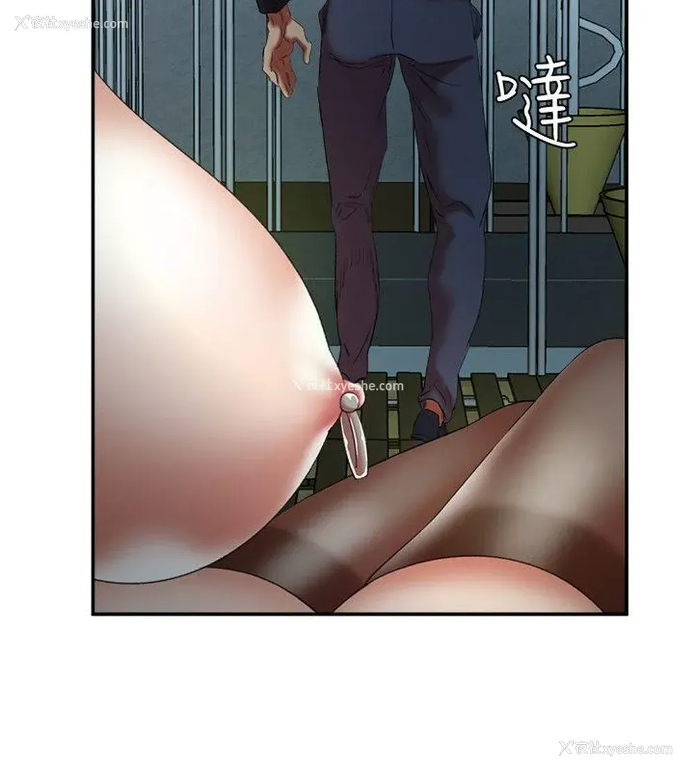 14P - 母猪养成计画