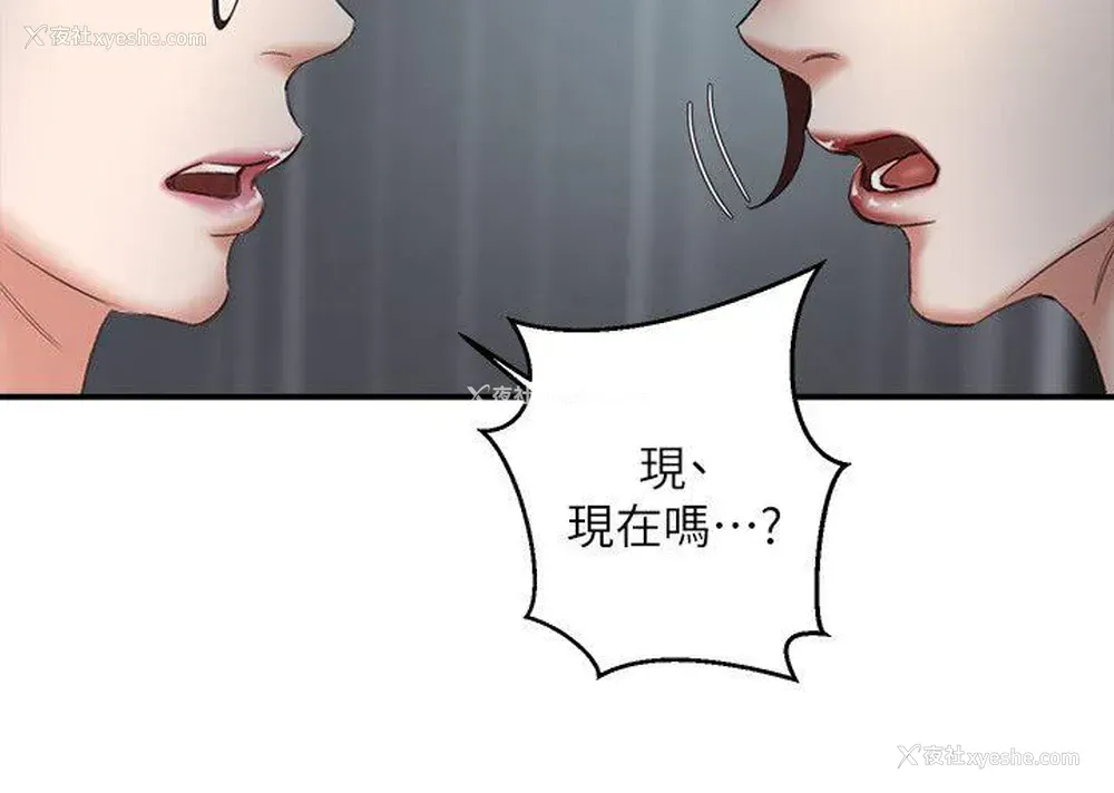 16P - 母猪养成计画