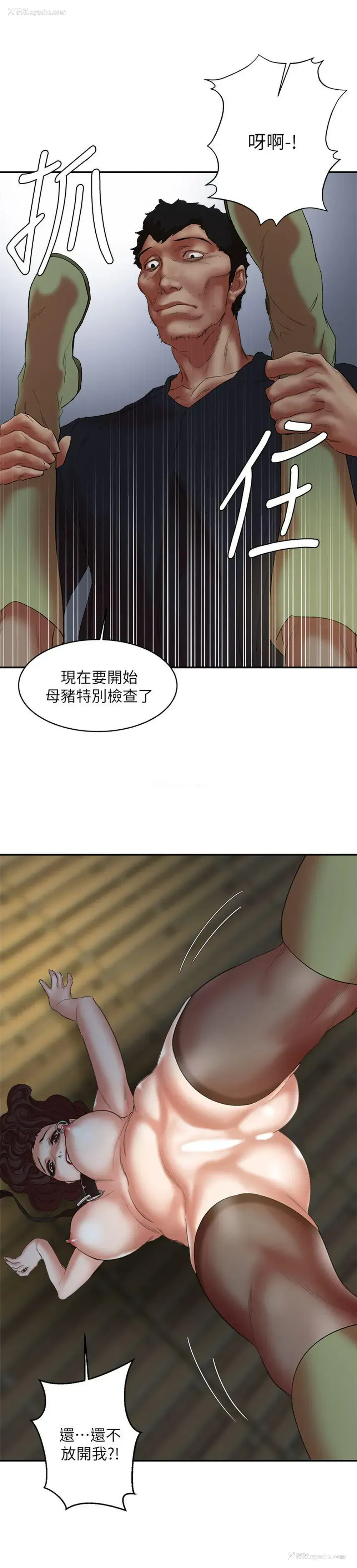 21P - 母猪养成计画
