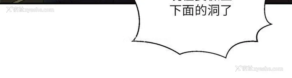 33P - 母猪养成计画
