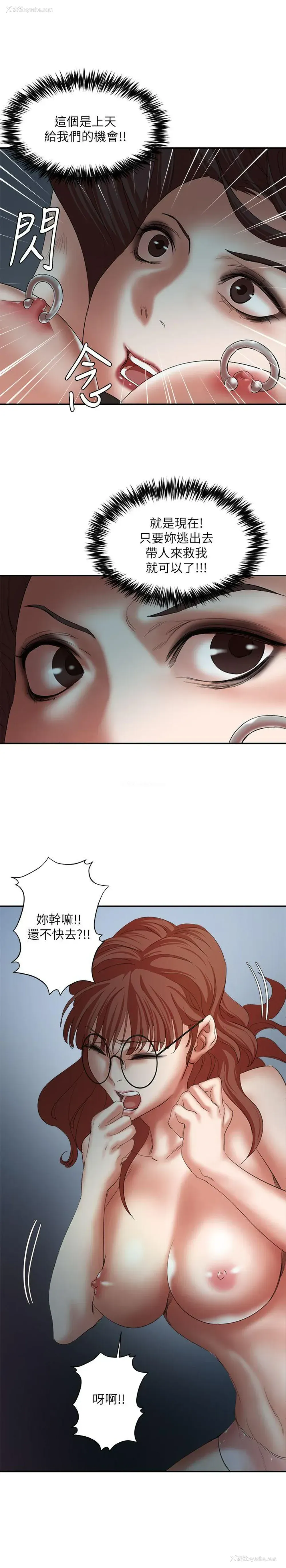 34P - 母猪养成计画