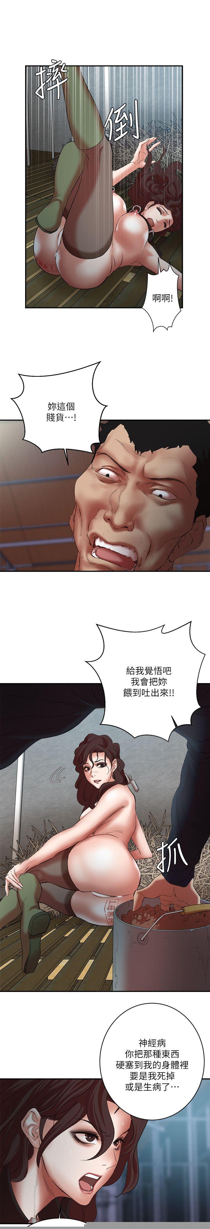 7P - 母猪养成计画