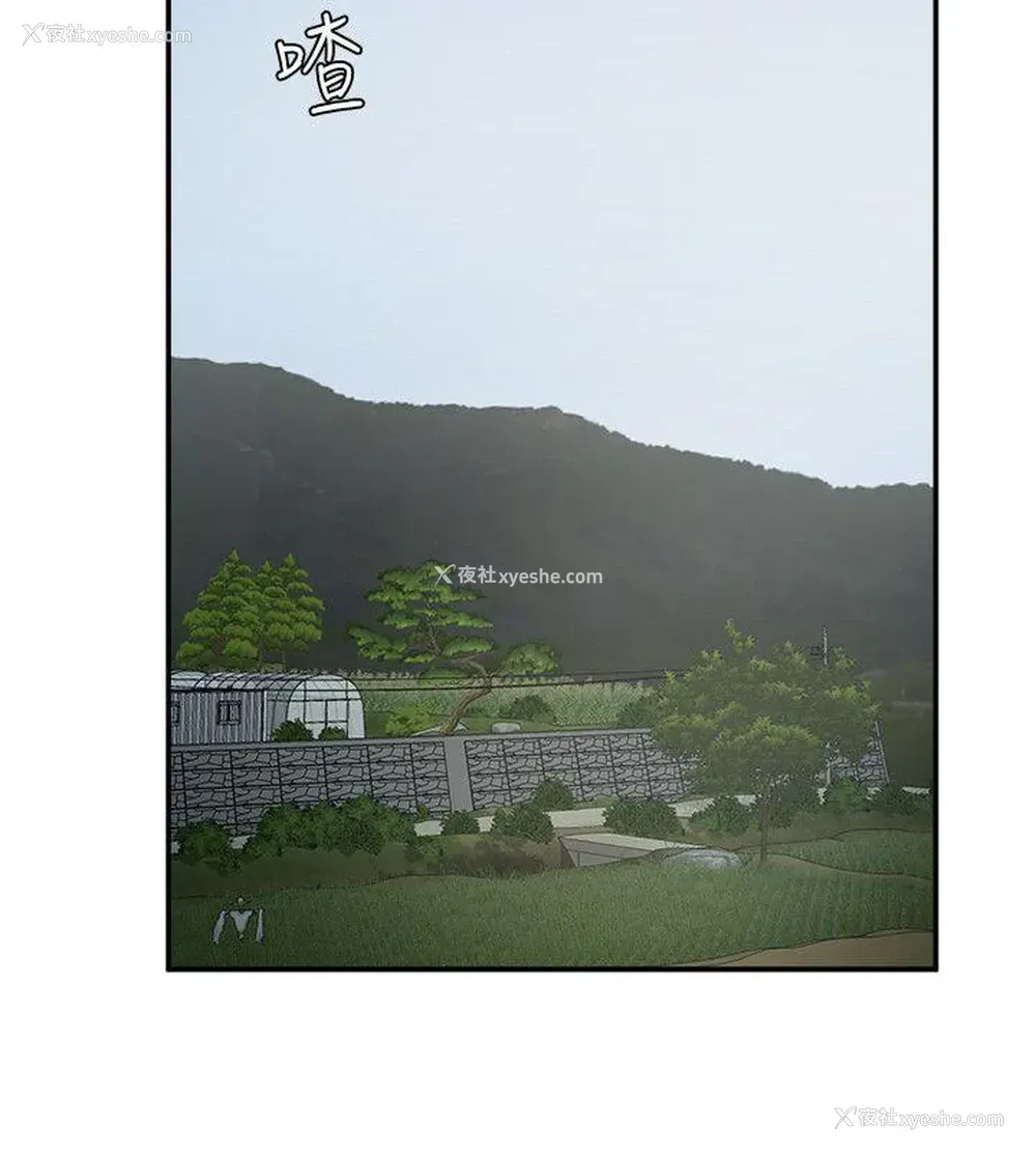17P - 母猪养成计画