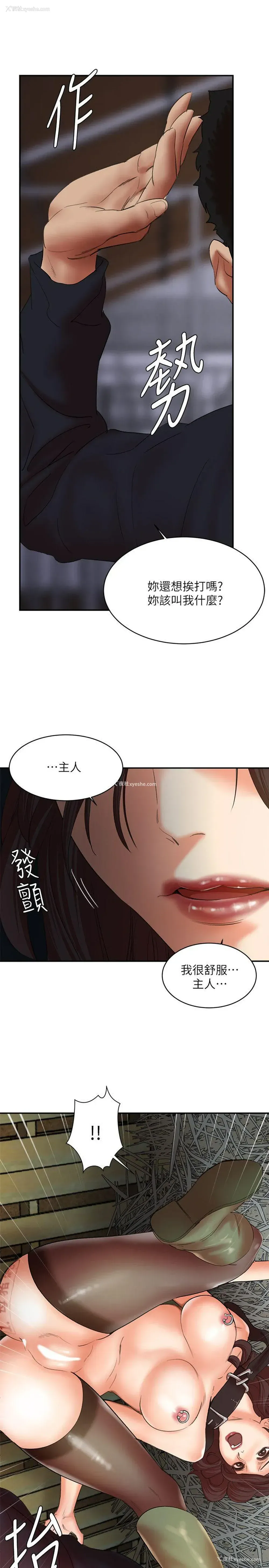 11P - 母猪养成计画