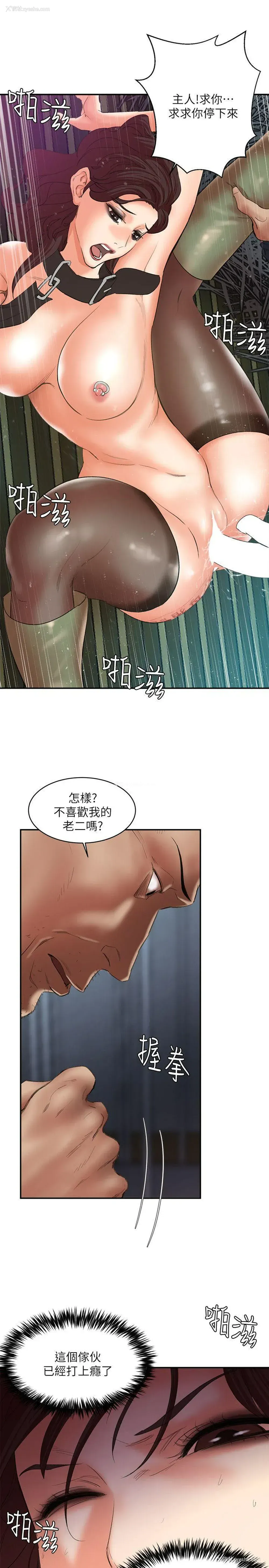 14P - 母猪养成计画