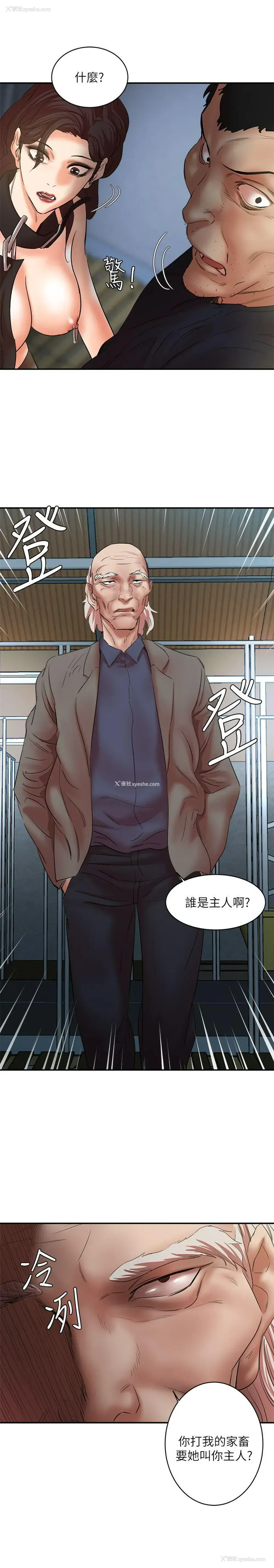 26P - 母猪养成计画