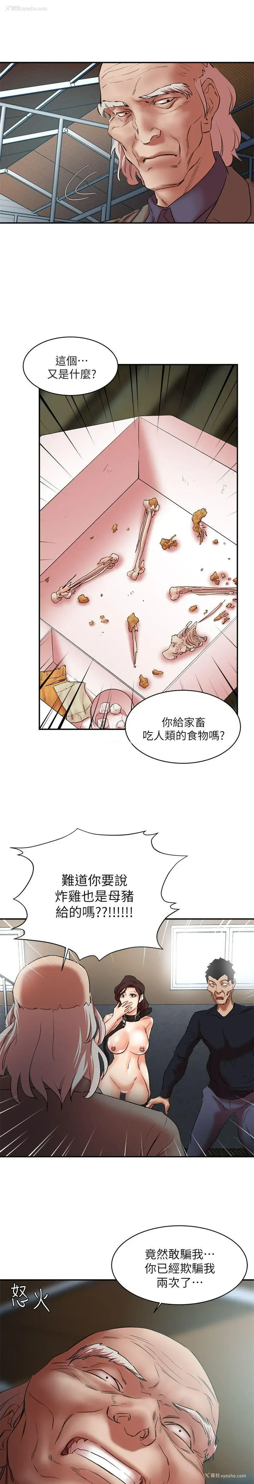 29P - 母猪养成计画