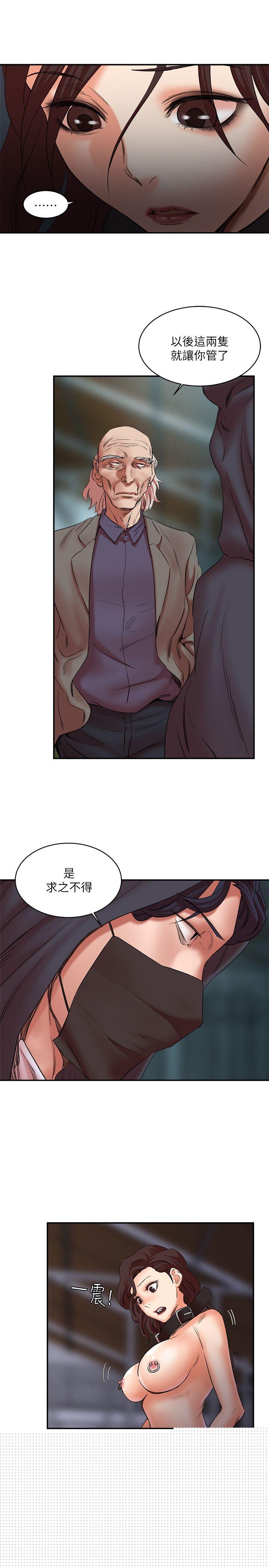 18P - 母猪养成计画