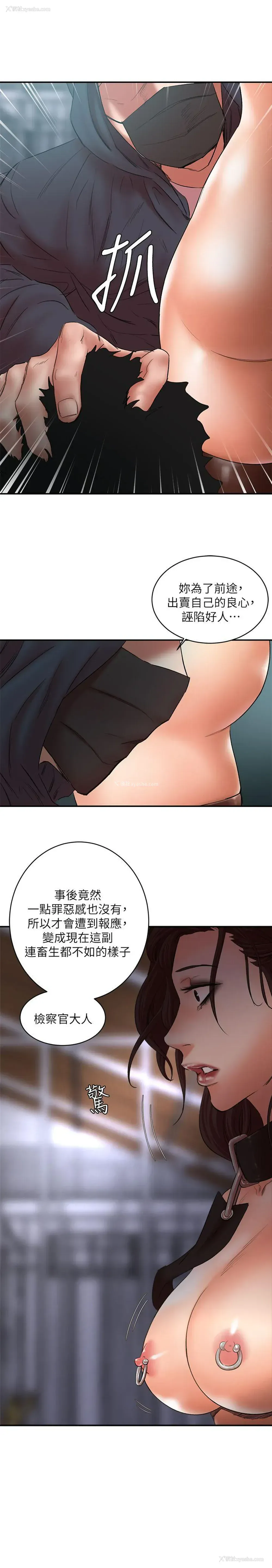 3P - 母猪养成计画