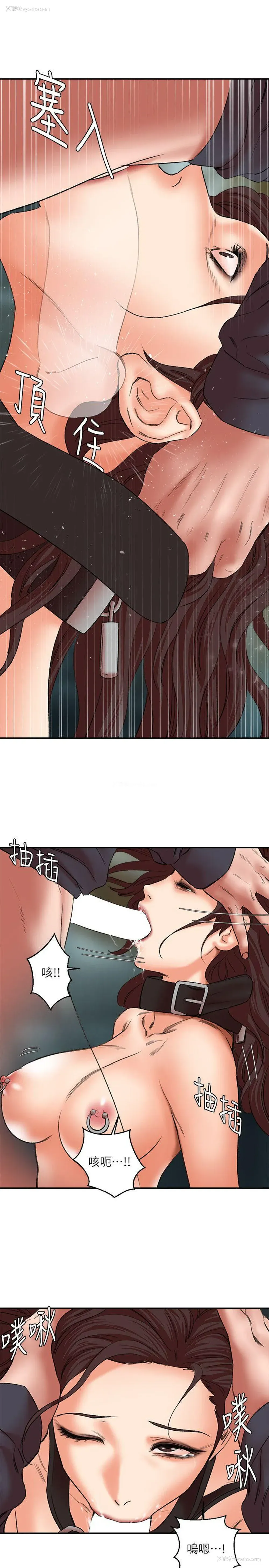 13P - 母猪养成计画