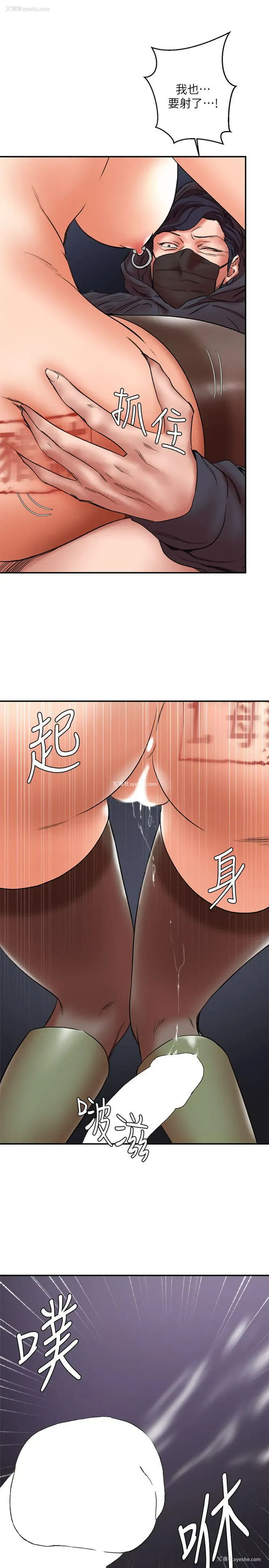 29P - 母猪养成计画