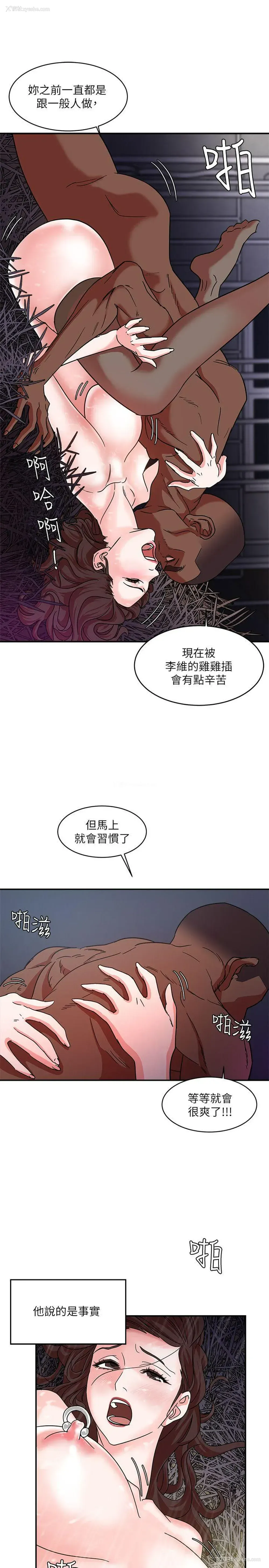 28P - 母猪养成计画