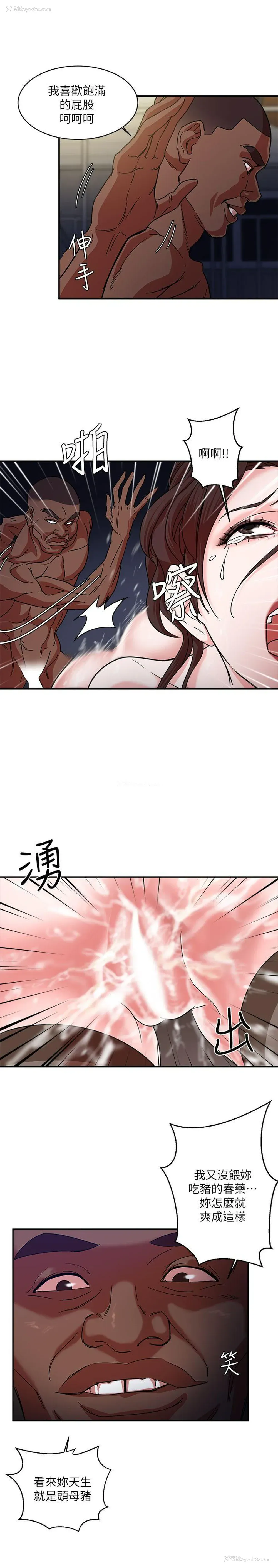 34P - 母猪养成计画