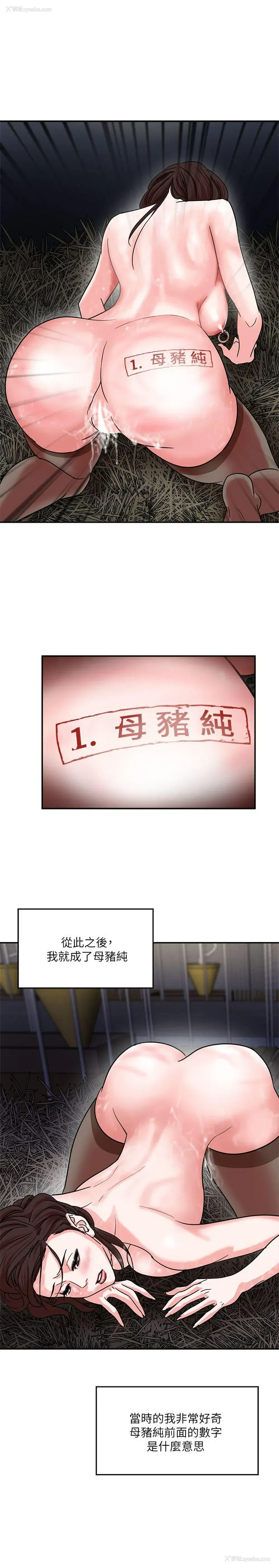 38P - 母猪养成计画