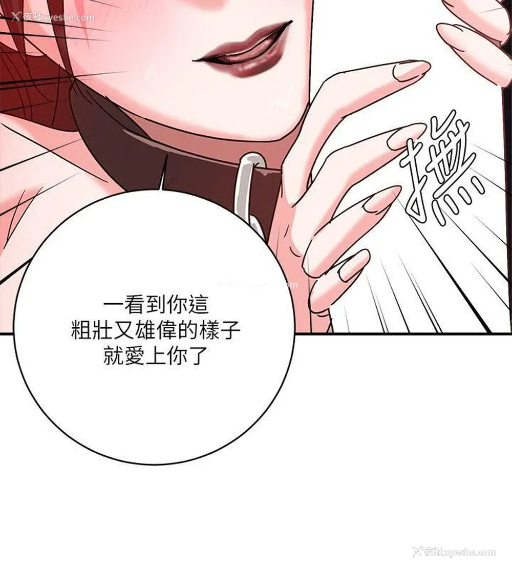 5P - 母猪养成计画