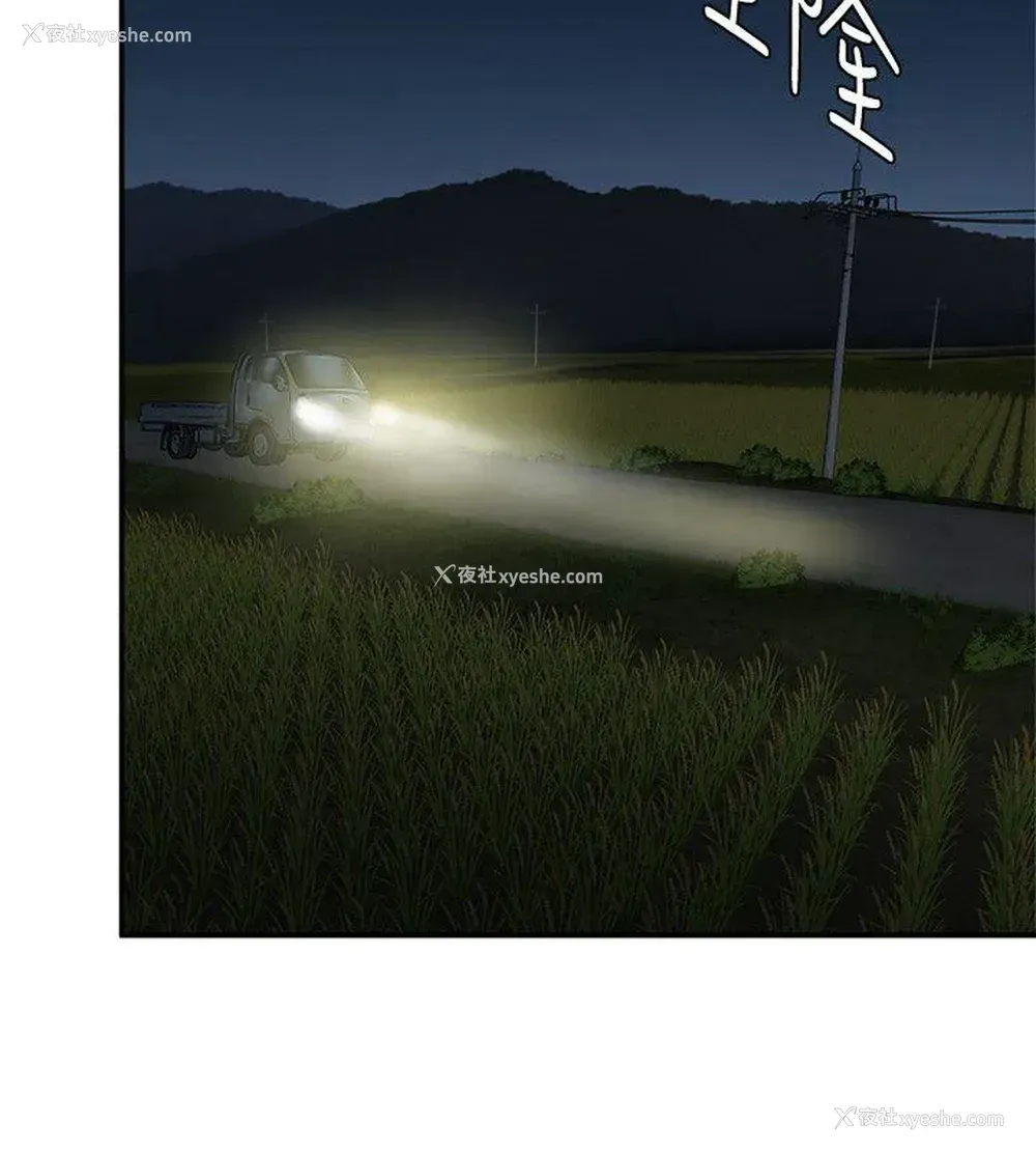 36P - 母猪养成计画