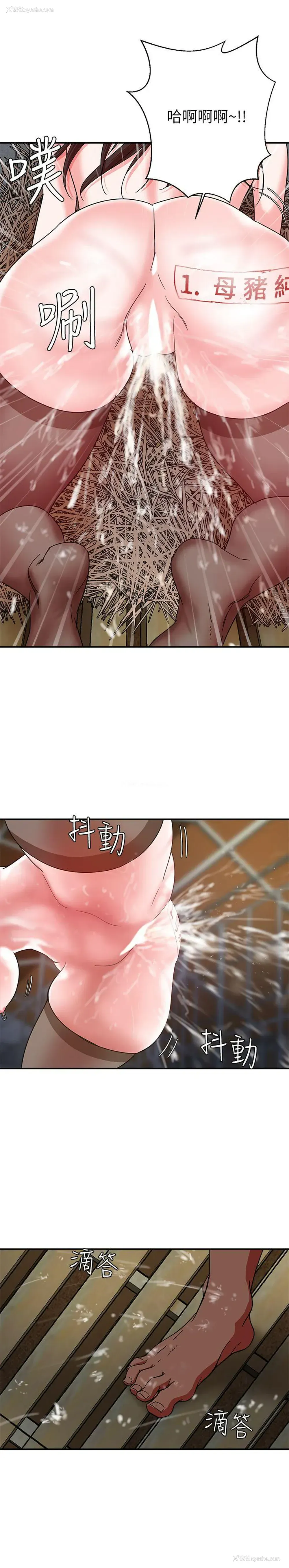 19P - 母猪养成计画