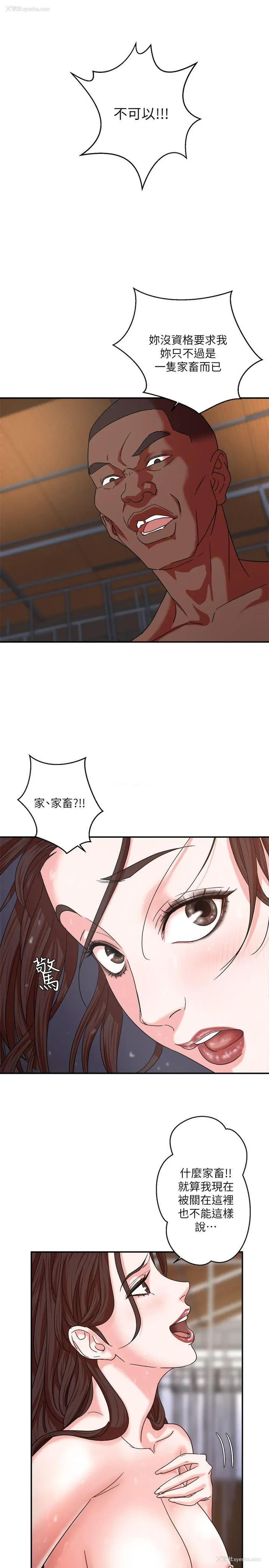 24P - 母猪养成计画