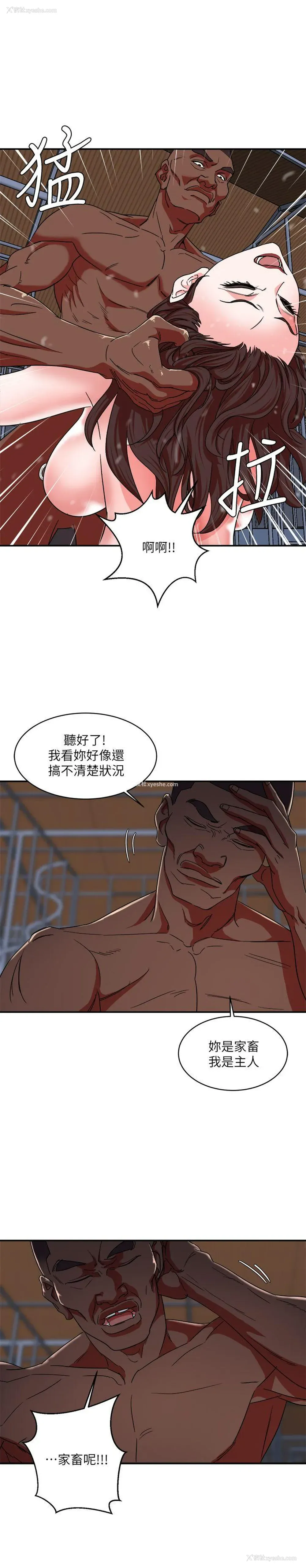26P - 母猪养成计画