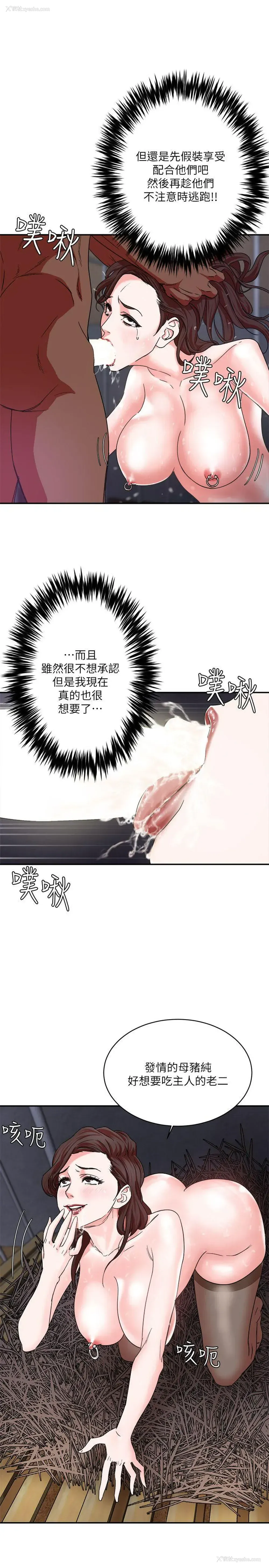 31P - 母猪养成计画