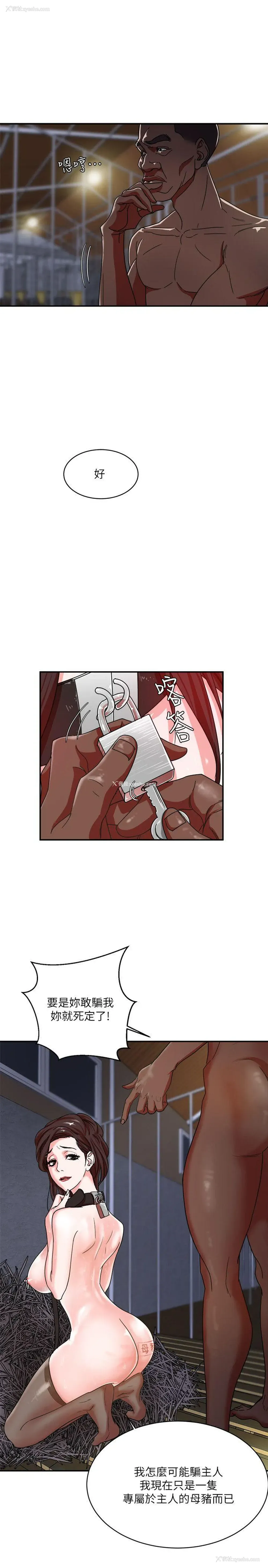 39P - 母猪养成计画