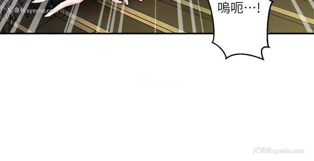 42P - 母猪养成计画