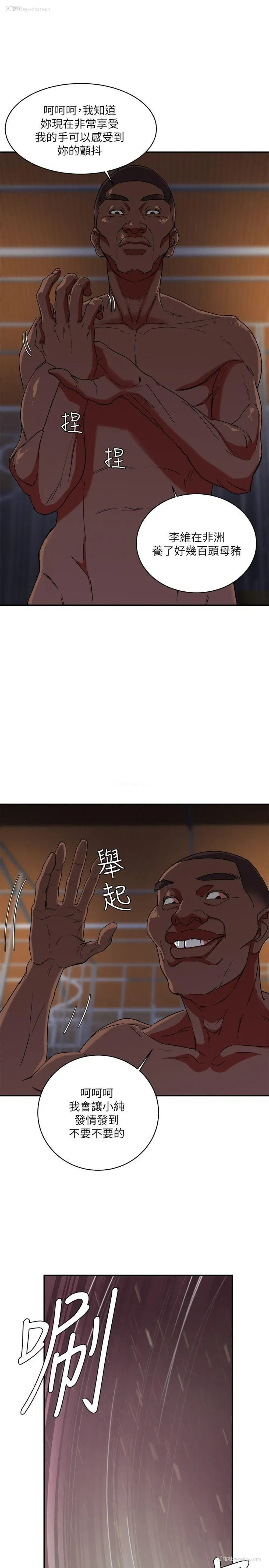 8P - 母猪养成计画