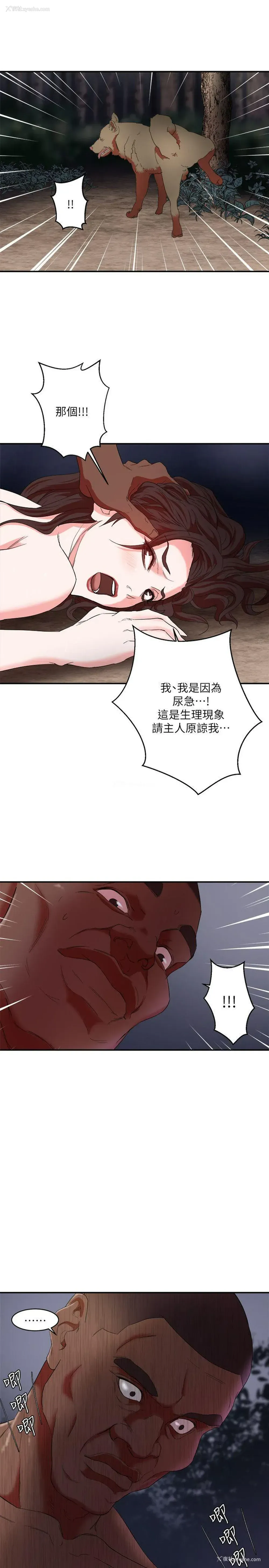 16P - 母猪养成计画
