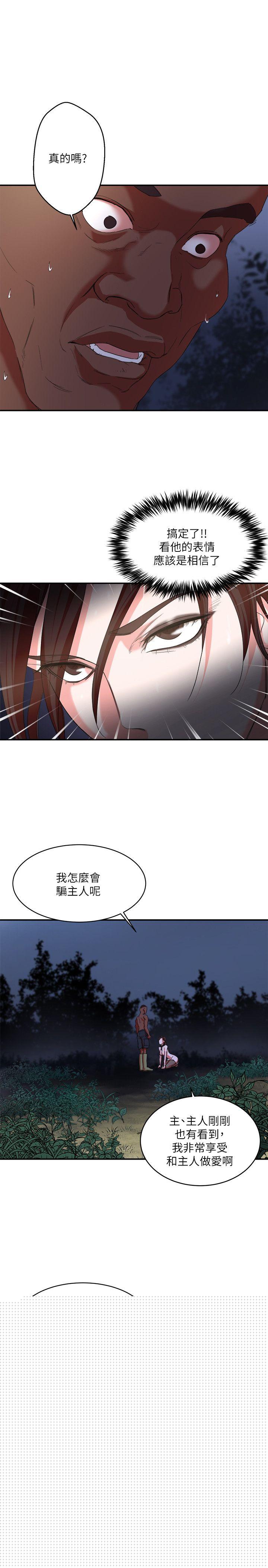 18P - 母猪养成计画