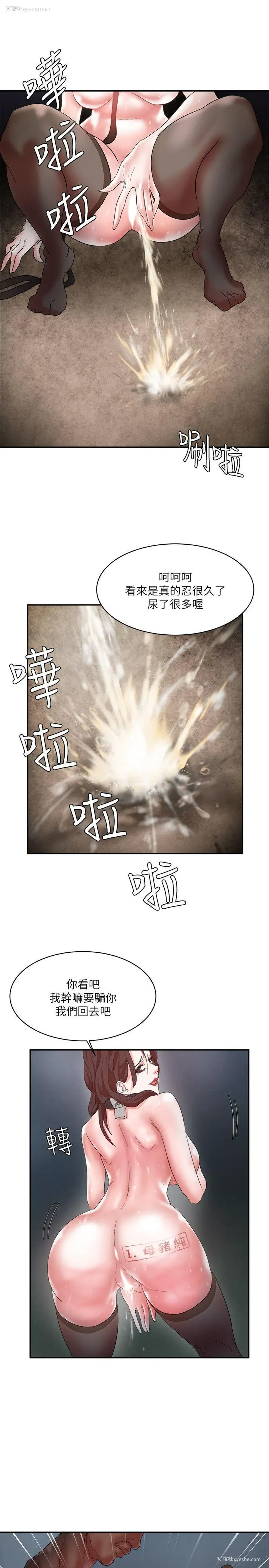 28P - 母猪养成计画