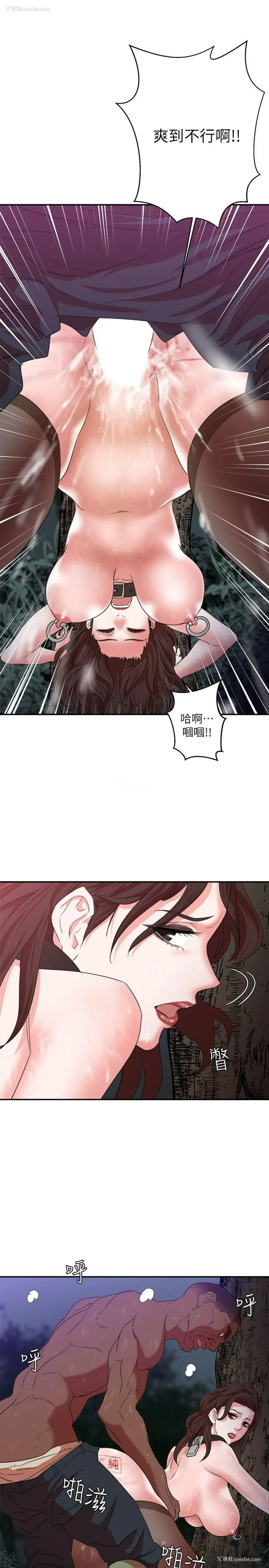 12P - 母猪养成计画