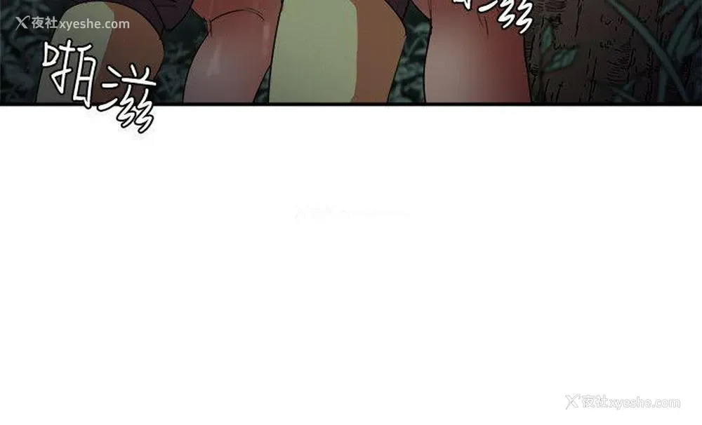 13P - 母猪养成计画