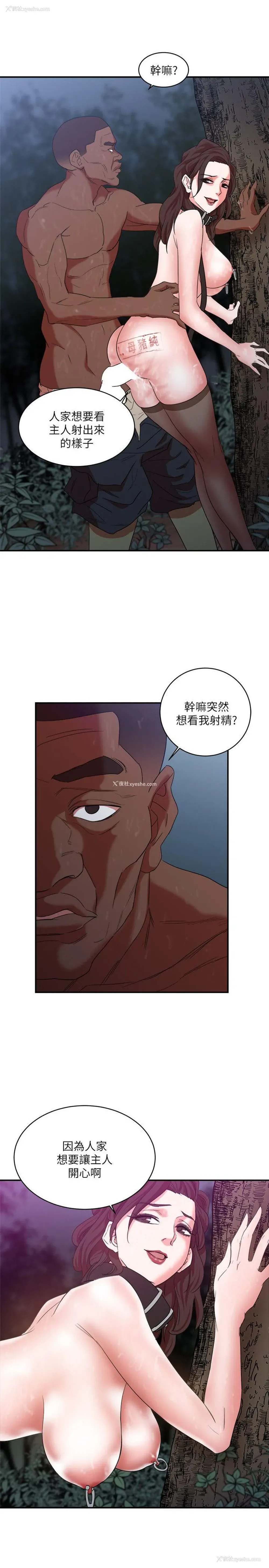 16P - 母猪养成计画
