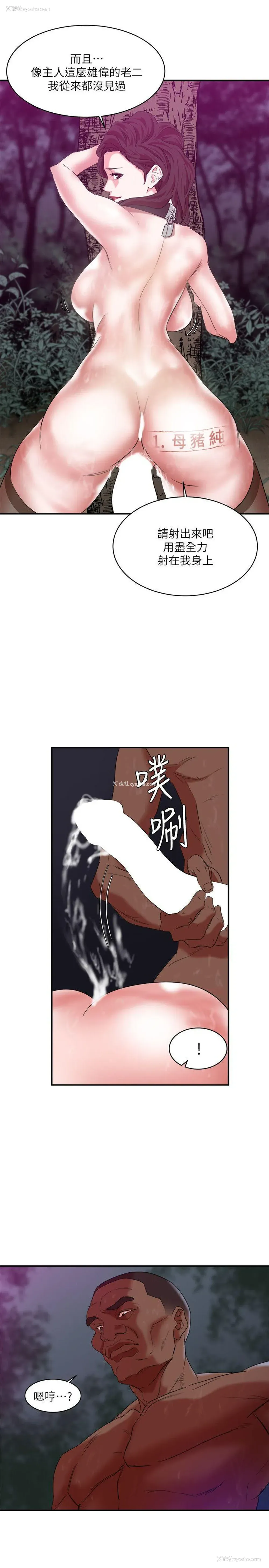 18P - 母猪养成计画