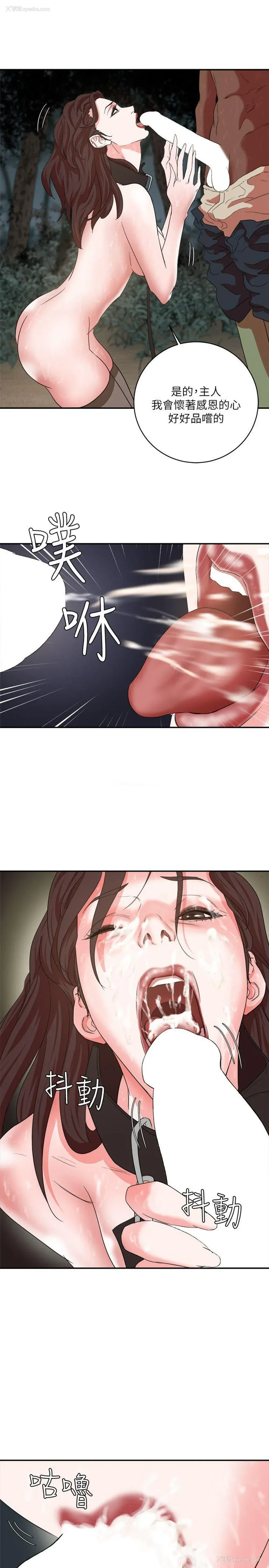 31P - 母猪养成计画
